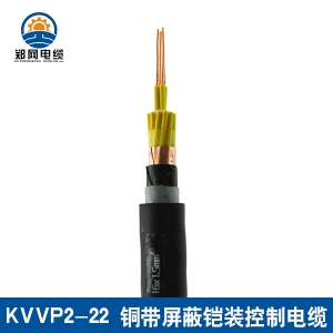 阿克苏KVVP2-22钢带屏蔽铠装控制电缆