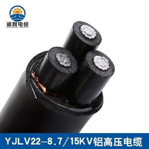 YJLV22铝高压电缆